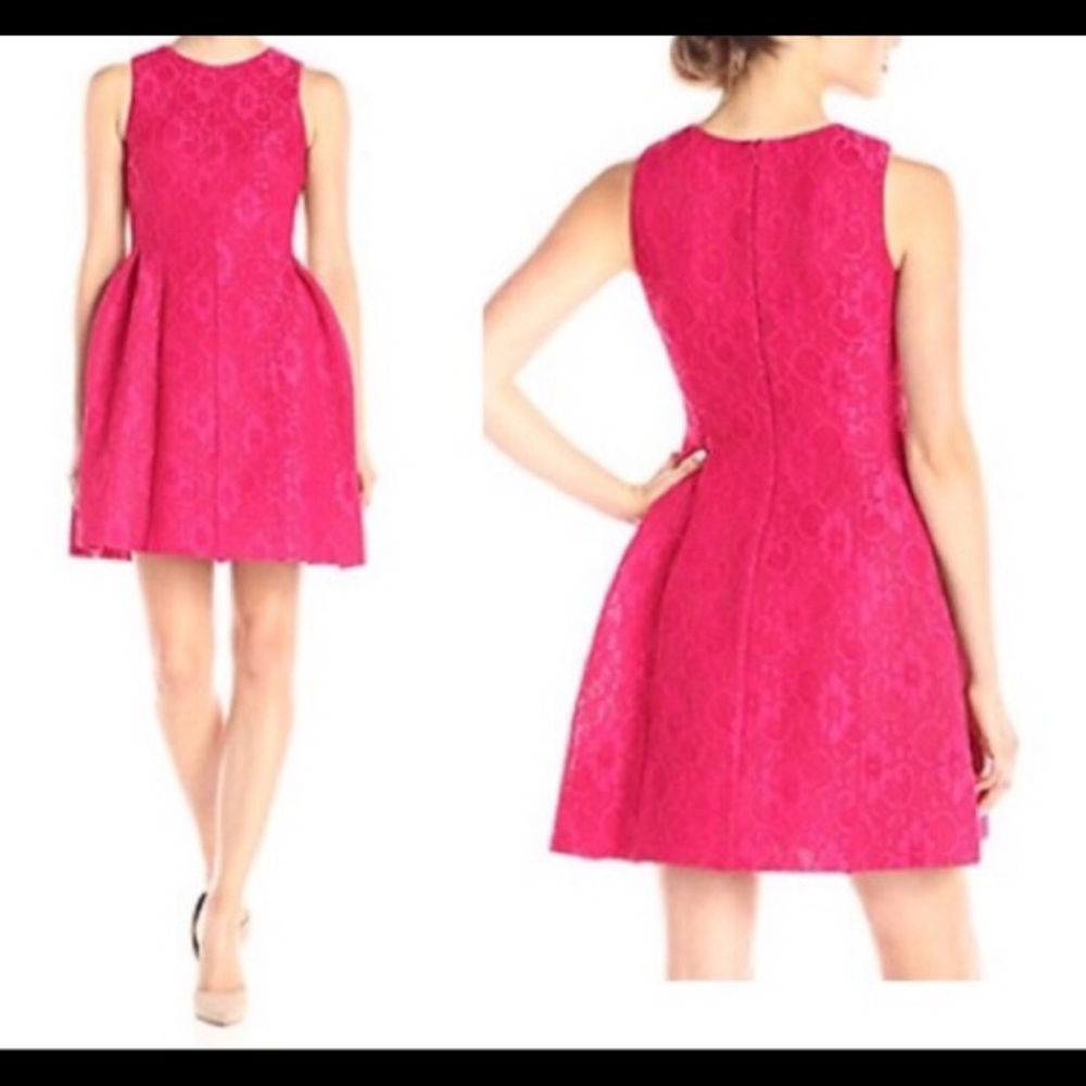 NWT Fuchsia lace Calvin Klein dress